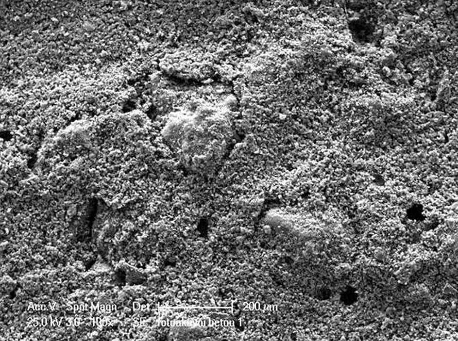 Fig. 1: SEM image of the surface of photocatalytic concrete